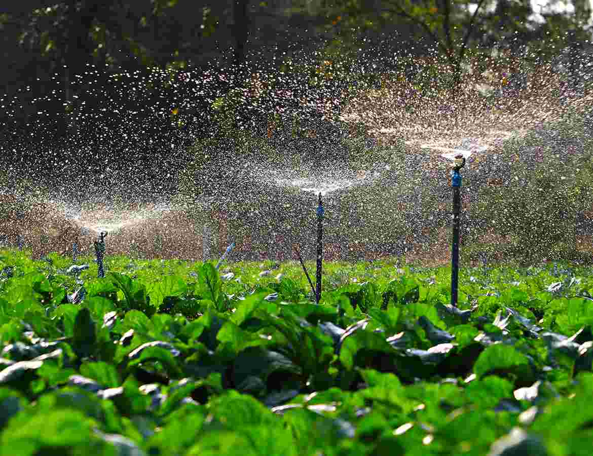 Sprinklers