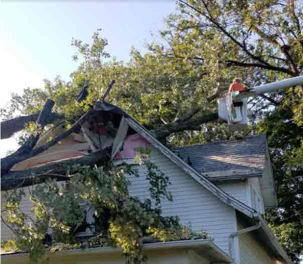 Storm Damage Tree Services 24 Hour Tree Service Indianapolis In